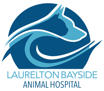 Laurelton Bayside Animal Hospital